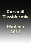 modena